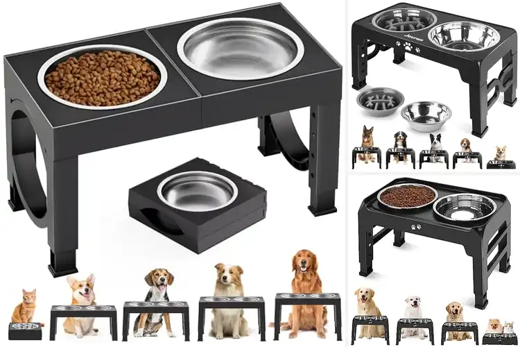 Detailed view of Best Adjustable Height Dog Bowl Stands