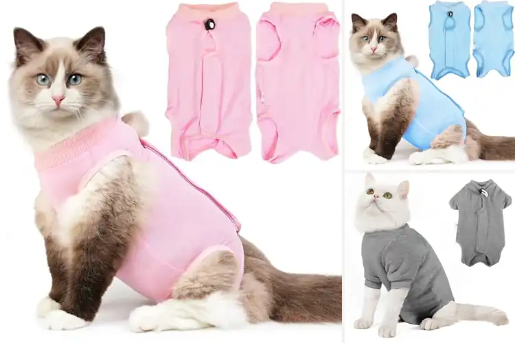 Detailed view of Best Anti-Licking Cat Bodysuits