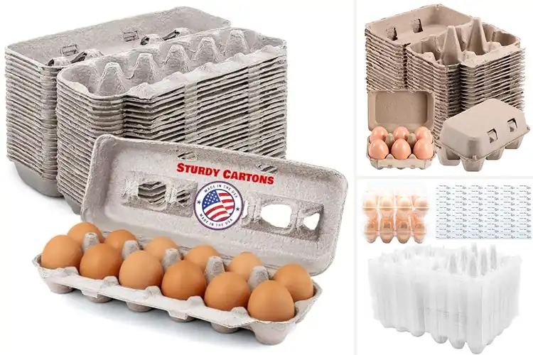 Detailed view of Best Blank Egg Carton for DIY: Unleash Your Creativity