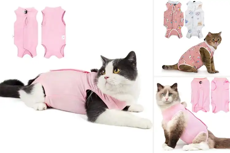 Detailed view of Best Breathable Cat Onesie