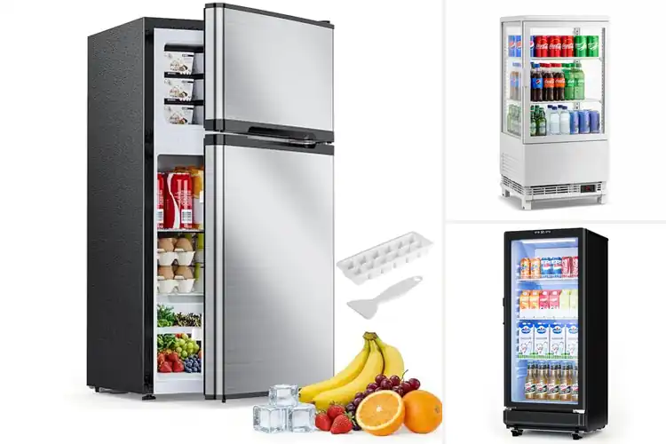 Detailed view of Best Cafe Refrigerators: Top Picks for Smooth Shop Operation