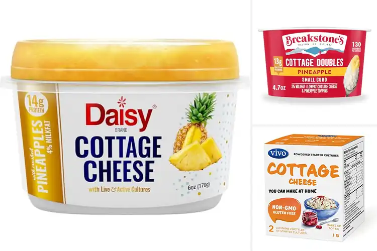 Detailed view of Best Calcium Rich Cottage Cheese Pineapple