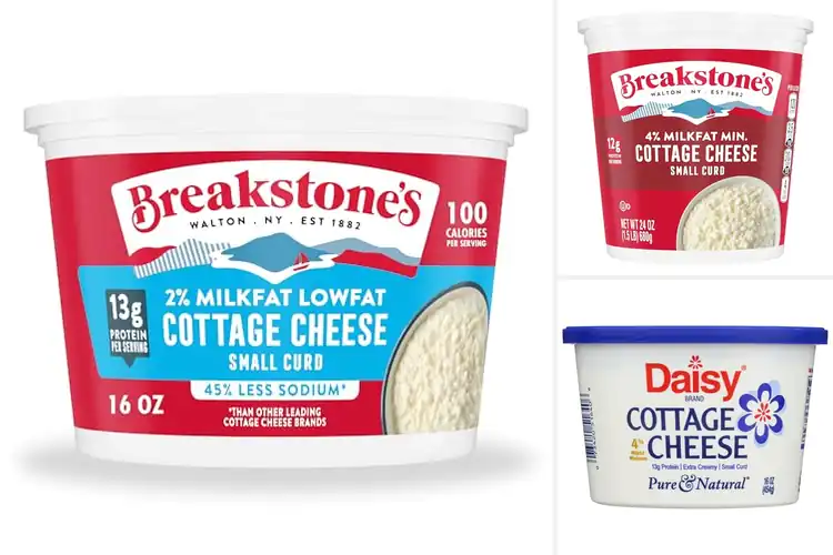 Detailed view of Best Calcium Rich Snackable Cottage Cheese