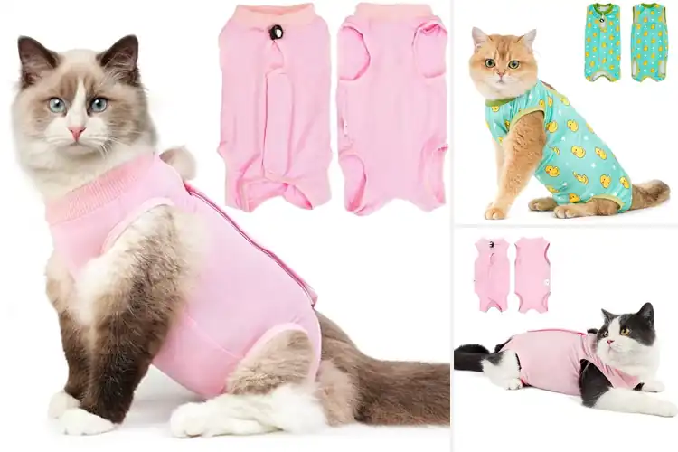 Detailed view of Best Cat Recovery Suits