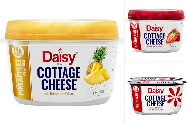 Detailed view of Best Cottage Cheese Snacks