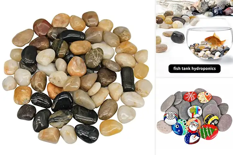 Detailed view of Best Decorative Stones