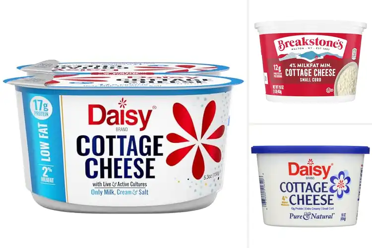 Detailed view of Best Dip Friendly Cottage Cheese
