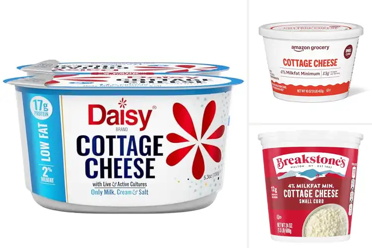 Detailed view of Best Dipping Cottage Cheese Delights