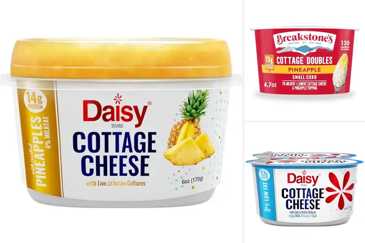 Detailed view of Best Dipping Snack Cottage Cheese Pineapple