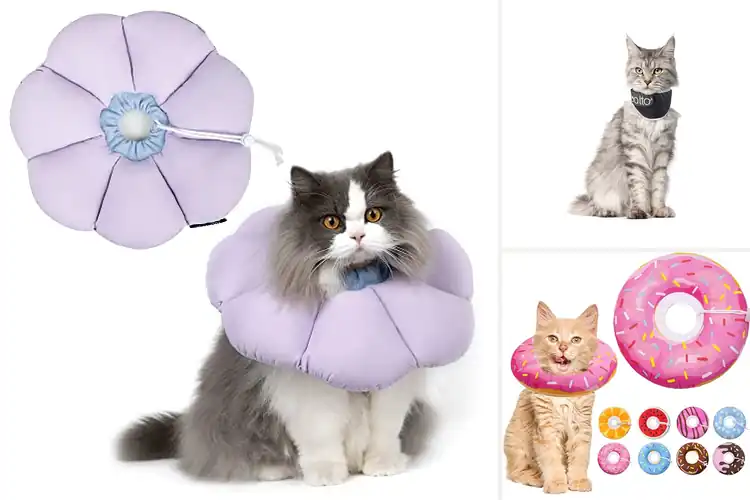Detailed view of Best E-Collar Alternatives For Cats