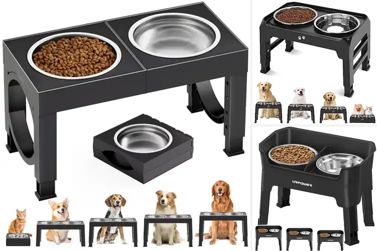 Detailed view of Best Elevated Dog Bowls Stands