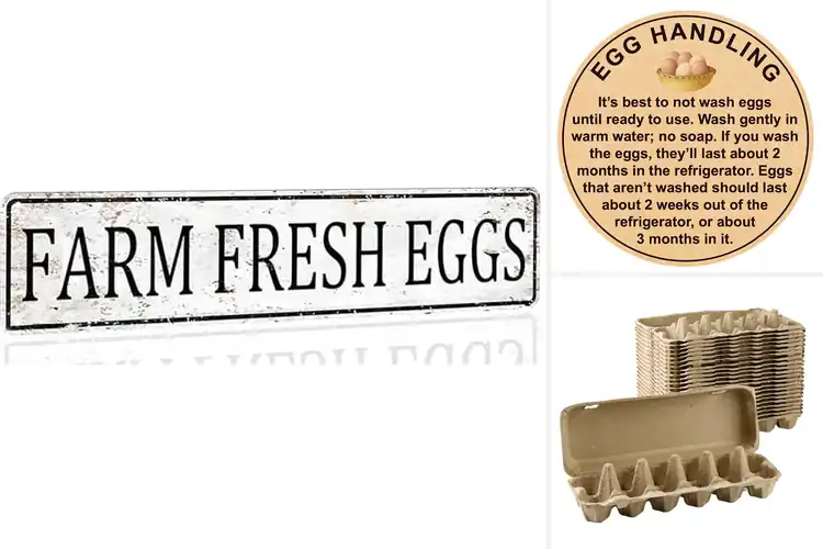 Detailed view of Best For Farmers Market Eggs