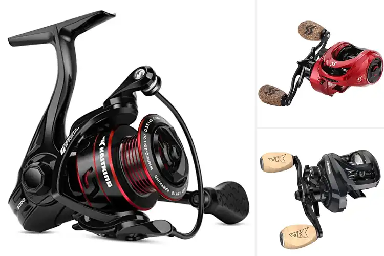 Detailed view of Best Gear Ratios: Top 10 to Boost Your Fishing Success