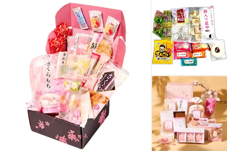 Detailed view of Best Gift Box Of Seasonal Japanese Sweets