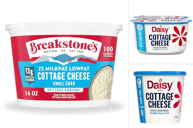 Detailed view of Best Healthy Cottage Cheeses for Delicious Daily Nutrition