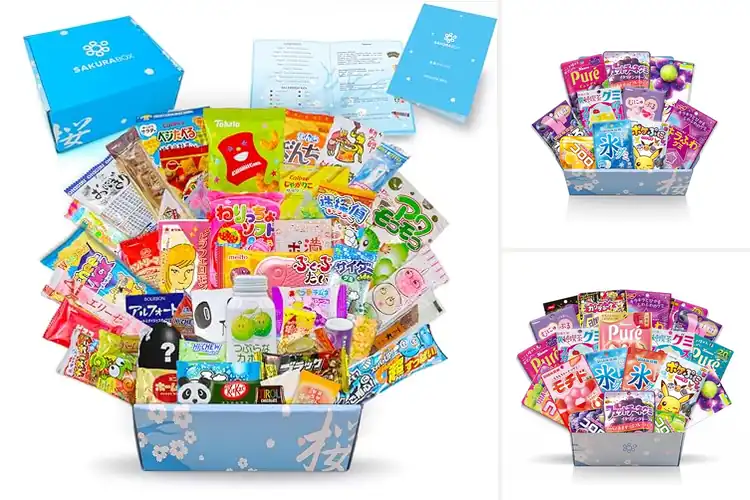 Detailed view of Best Japanese Confectionery Gift Sets