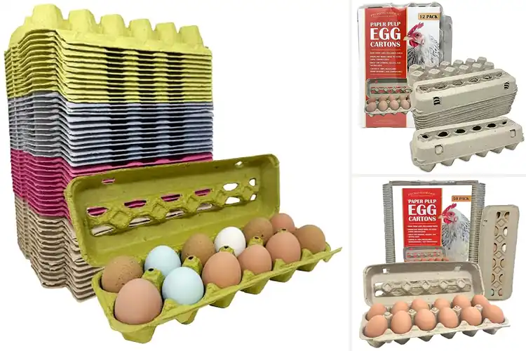 Detailed view of Best Paper Pulp Egg Carton