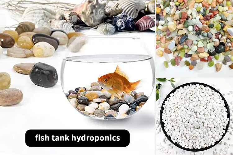 Detailed view of Best Pebbles for Plants: Top 10 Picks to Elevate Your Garden