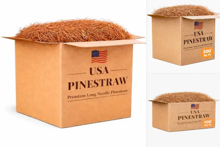 Detailed view of Best Pine Straws