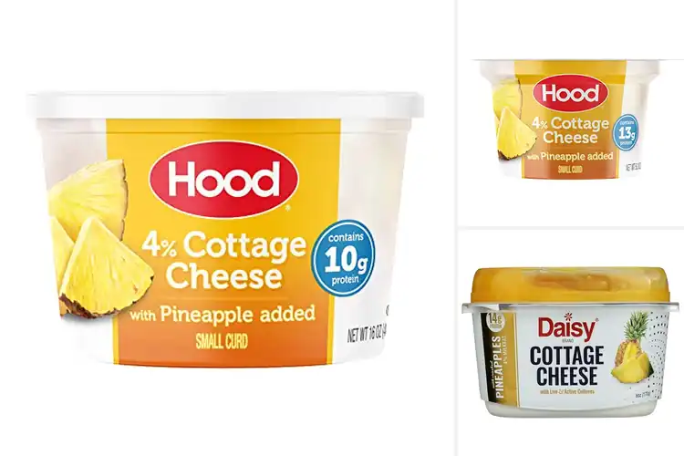 Detailed view of Best Pineapple Cottage Cheese Picks for Delicious Meals