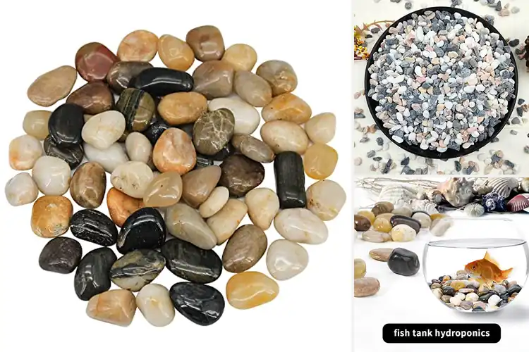 Detailed view of Best Plant Rocks