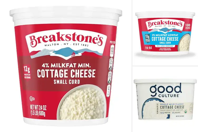 Detailed view of Best Premium Cottage Cheese: Top Creamy & Healthy Picks