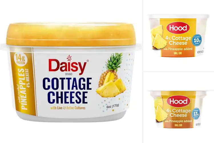 Detailed view of Best Snacking Cottage Cheese With Pineapple