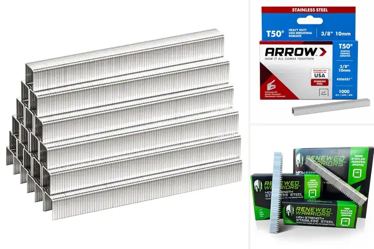Detailed view of Best Stainless Steel Staples