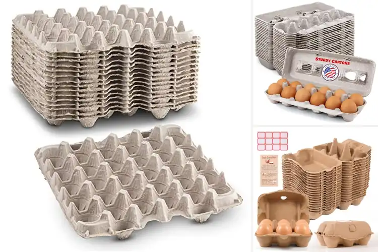 Detailed view of Best Thick Cardboard Egg Cartons