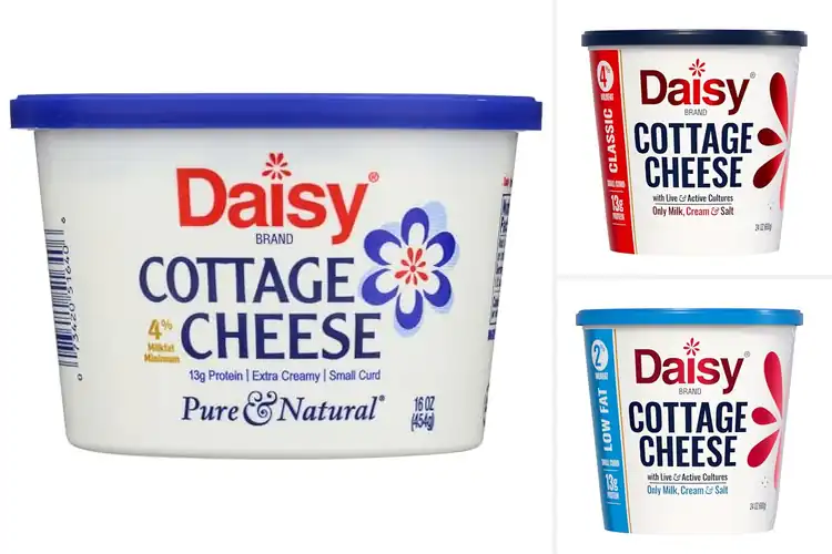 Detailed view of Best Versatile Cottage Cheese For Salads And Bowls