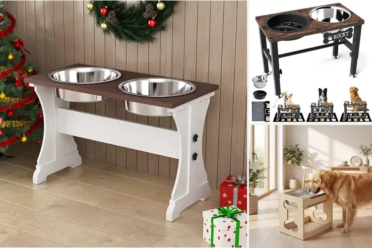 Detailed view of Best Wooden Dog Feeder Stations